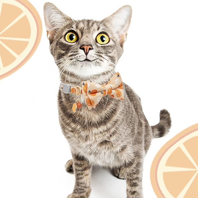Faygarsle 2 Pack Cute Cats Collars with Bell Breakaway Bowtie Cat Collar for Male Female Cats Soft Fancy Orange Yellow Cat Collars Pineapple Orange Pattern Summer Cat Collar for Boy Girl Cats