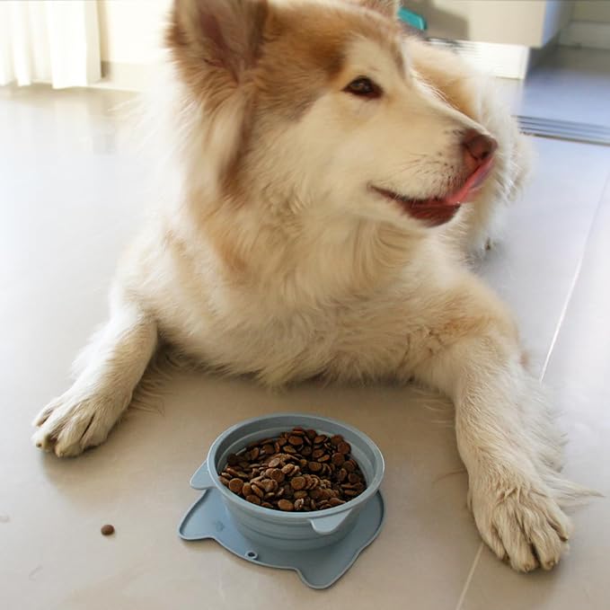 RUNROLE 2-in-1 Collapsible Silicone Dog Travel Bowls Detachable Pet Food and Water Bowl Set Portable Dog Bowls Pop Up Cat Feeding Watering Dishes,20OZ+27OZ (Slate Blue)
