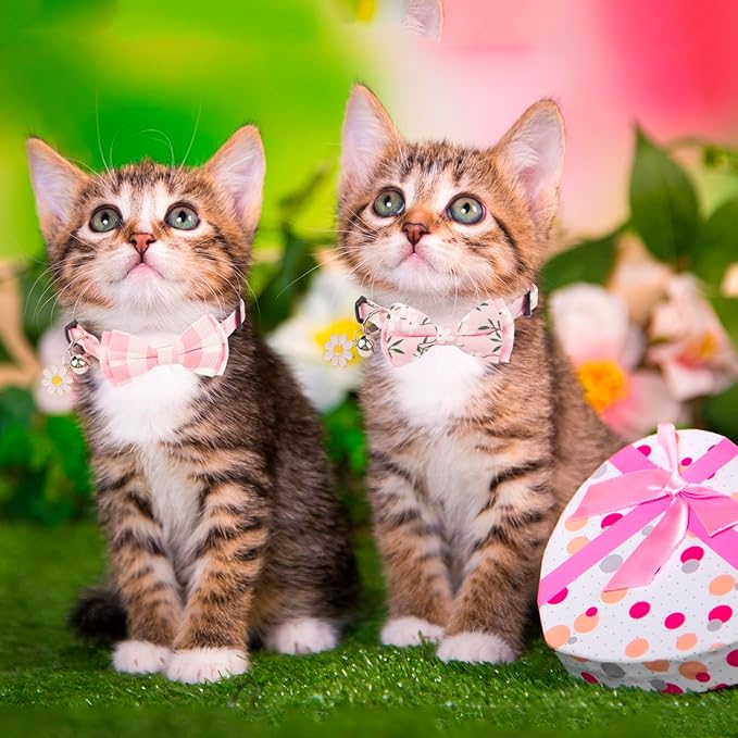 PTDECOR Pink Cat Collar Breakaway with Cute Bow Tie Bell Charm, Plaid Flower Cat Bowtie Collars for Cats Kittens (Pink)