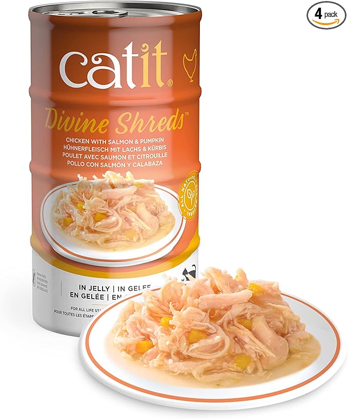 Catit Divine Shreds in Jelly, Premium Wet Cat Food, Chicken with Salmon & Pumpkin, 1 Count (Pack of 1)