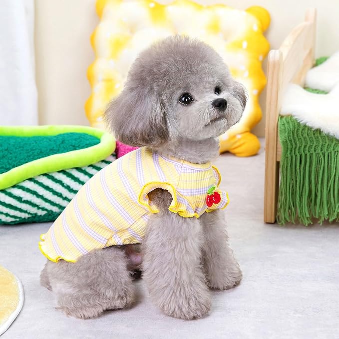 2 Pack Striped Small Dog T Shirt Cute Cherry Girl Dog Clothes for Small Dogs Cats Breathable Soft Cotton Pet Puppy Sleeveless Vest Spring Summer Pet Outfits(Pink+Yellow,XX-Large)