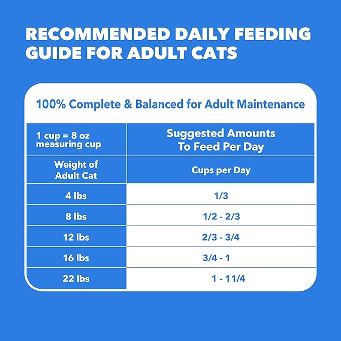 IAMS Healthy Enjoyment Dry Cat Food Chicken & Salmon Recipe, Cat Food Dry Recipe, 6 lb. Bag