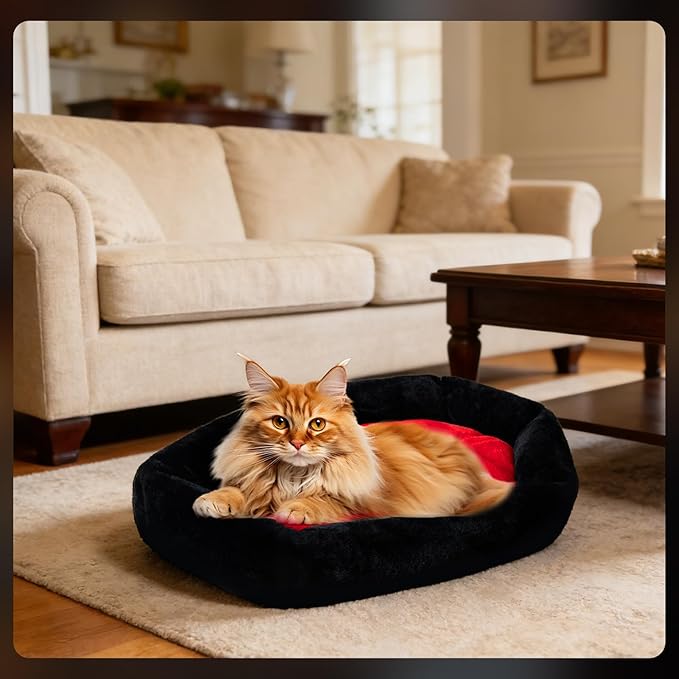 Gothic Cat Beds Fits up to 25 lbs, Washable Coffin Cat Bed, Goth Pet Bed, Halloween House 24 * 16.9 Inch, Red & Black Small (Black, Small)