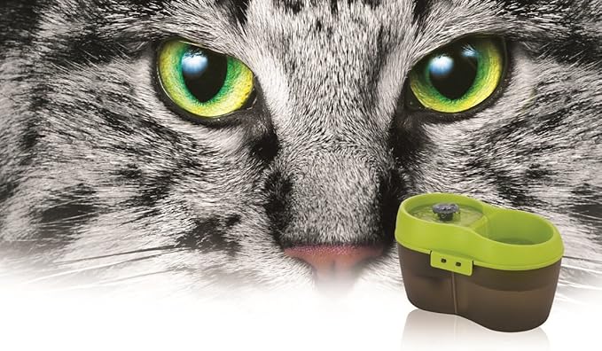 Cat H2O Filtered Cat Water Fountain 67 fl. oz/2.1 Quart with Filter & Dental Care Tablet, Lime Green/Translucent Black