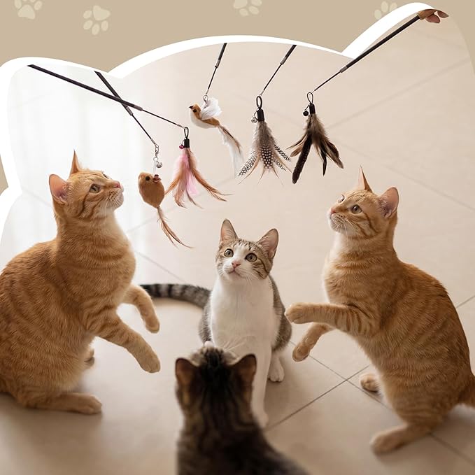 Leitee 18 Pcs Cat Teaser Wand Toy, Interactive Cat Feather Toys for Kittens, 15 Pcs Natural Feather Bird Mouse Toys Refill, 2 Wires and 1 Kittens Fishing Pole Toy Wooden Handles for Indoor