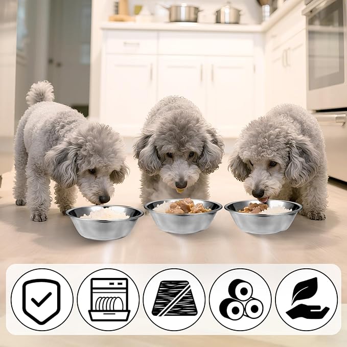 2 Pack 5.5" Metal Cat and Dog Small Bowls Stainless Steel Pet Bowls Set, Replacement Dog Food Bowl for Food and Water for Small Dogs, Kitten, Puppy
