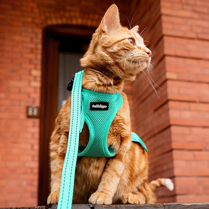 rabbitgoo Cat Harness and Leash, Escape Proof Vest with 3 Adjustable Buckles, Soft Comfortable Kitten Harness, Easy to Wear, Reflective for Safe Outdoor Walking, Medium, Green