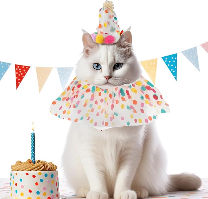 Cat Costume, Cat Birthday Bandana Scarf and Party Hat, Dog Birthday Decorations Set, Pet Outfit for Birthday Party Christmas, Large