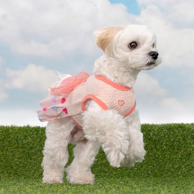 Pinkaholic New York Alice Dog One-Piece Dress Trendy Fashionable Cute Elegant Dog Apparel for Small Dogs, Red, Small