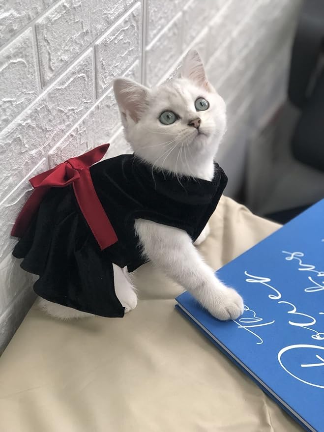 Pet Dresses for Small Dogs Cats Girl, Cute Princess Bowknot Dress Puppy Shirt All Weather Skirt Clothes Cat Apparel for Birthday Wedding Party Holiday (Large, Velvet Black)