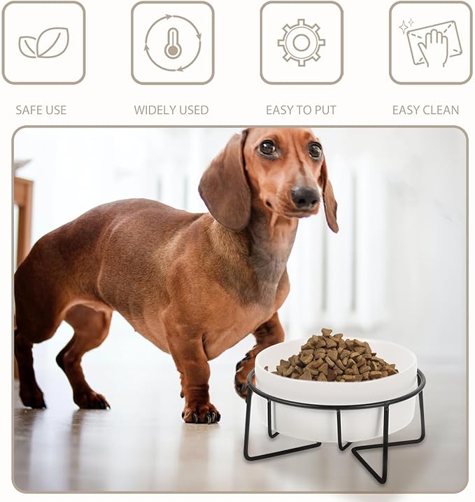 Elevated Cat Food Bowl with Metal Stand, 400ml Ceramic Raised Pet Feeder for Cats and Small Dogs, Non-Slip White Bowl with Black Iron Frame, Suitable for Feeding and Watering