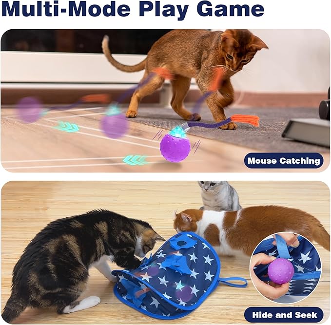 Interactive Cat Toys Hide-and-Seek, Touch to Activate, Quickly Roll in The Brood Bag, Real Mouse Squeaking Sound, The Best Cat Toy for Bored Indoor Cats