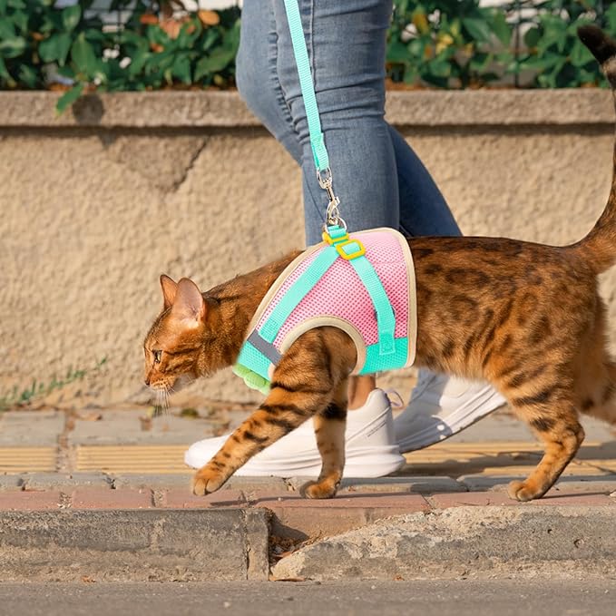 Cat Harness and Leash Set Escape Proof, Adjustable Cat Vest Harnesses Soft Kitten Harness Reflective Strips Jacket with Flower, Breathable Mesh Harnesses for Cats Puppy Easy to Wear Outdoor Walking