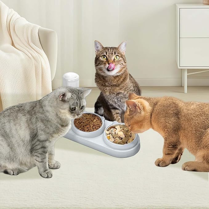 Marchul 3 in 1 Cat Bowl, Cat Food and Water Bowl Set with Water Dispenser and Stainless Steel Bowls, 15° Tilted Pet Raised Three Bowls for Indoor Cats, Small or Medium Sized Dogs,Gray