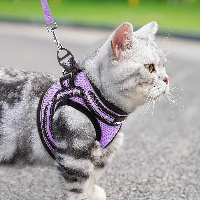 rabbitgoo Cat Harness and Leash Set for Walking Escape Proof, Adjustable Soft Kittens Vest with Reflective Strip for Cats, Comfortable Outdoor Vest, Light Purple, L