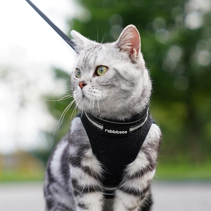 rabbitgoo Cat Harness and Leash Set for Walking Escape Proof, Adjustable Soft Kittens Vest with Reflective Strip for Cats, Comfortable Outdoor Vest, Black, L