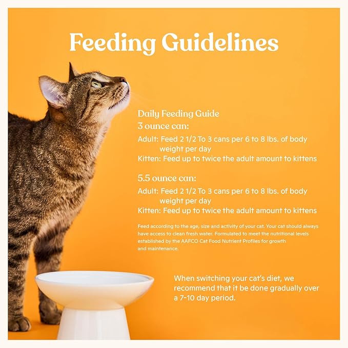 Made by Nacho Wild-Caught Chicken & Herring Recipe with Bone Broth Minced Wet Cat Food, 5.5-oz can, Case of 6