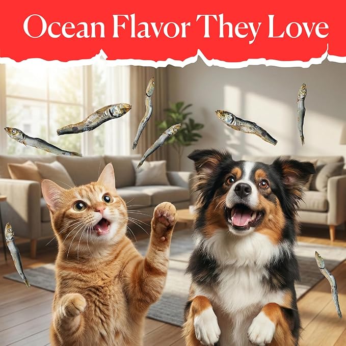 Whole Dried Herring 5 Oz, One Ingredient Dog Treats Fish for Training, Crunchy Air Dried Fish for Dogs and Cats
