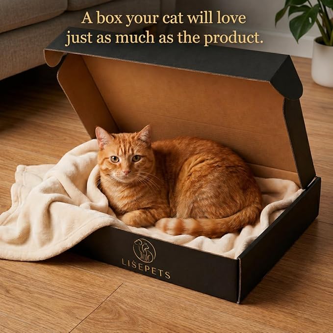 Cat Scratcher Cardboard Lounge Bed for Indoor Cats – Large Curved Cat Scratch Pad, Reversible Durable Honeycomb Design, Cat Scratching Board for Furniture Protection