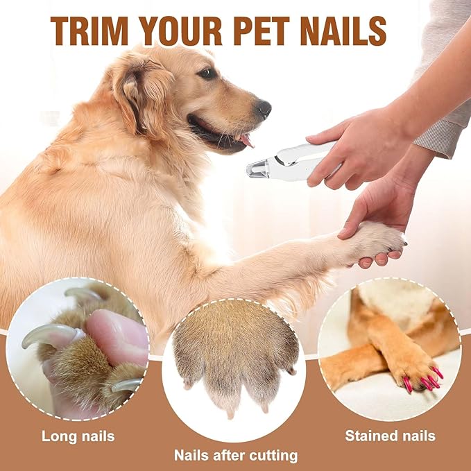 2-in-1 Dog Nail Grinder &Dog Nail Clippers with Light,Cat Nail Clippers ,Ultra-Quiet, USB Rechargeable, Multiple Grinding Methods, and Splash Guard for Large Medium Small Dogs Cats Pets(Green)