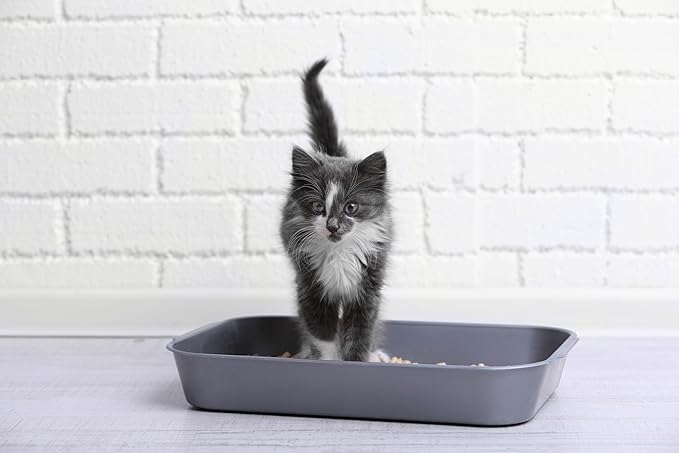 Light & Hygienic Recycled Paper Granules Cat Litter 12 Liter, Packaging May Vary