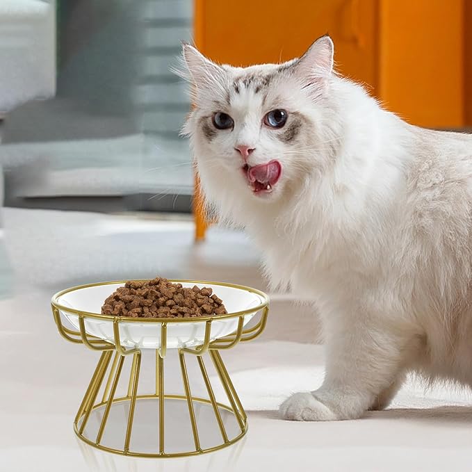 Garneck Elevated Cat Food Bowl with Ceramic Whisker-Friendly Dish and Gold Metal Stand, Anti-Vomiting Raised Pet Feeder for Cats, Compact Feeding and Watering Bowl for Indoor Use