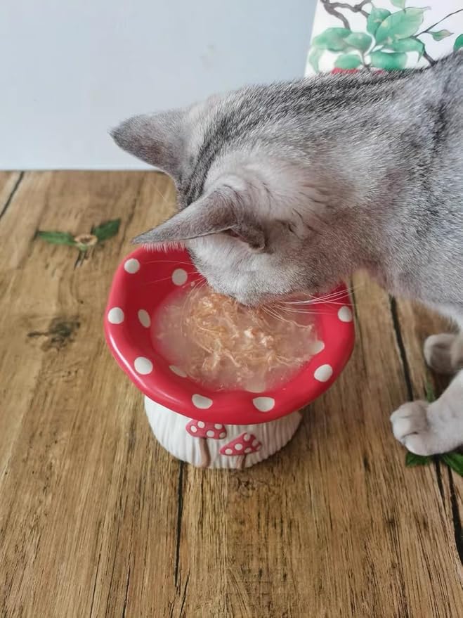 Cat Slow Feeders Set, Raised Ceramic Cat Bowl, Tilted Design, no Black Chin, Gut & Neck-Friendly,Pet Food and Water Bowls (Cute Mushroom Shape)