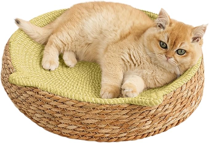 Woven Cat Scratch Bowl - Cotton Rope Round Cat Bed, Kitten Ear Design Scratching Board, Durable Claw Grinding Lounge Toy,