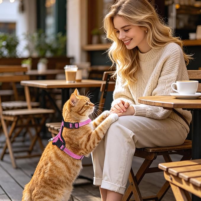 Cat Harness and Leash Set for Walking,Adjustable Escape Proof Kitten Harness and Leash with Reflective Strips,Easy to Wear Soft Breathable Harness for Cats Puppy Bunny Dogs Pink