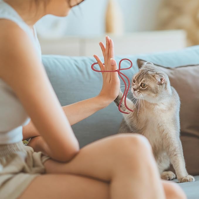 6 Color Cat String Toys Set, Durable for Interactive Games for Swatting, Biting, Hunting, and Active Healthy Play Interactive Cat Toys Indoor Cats