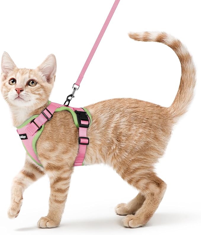 rabbitgoo Cat Harness and Leash