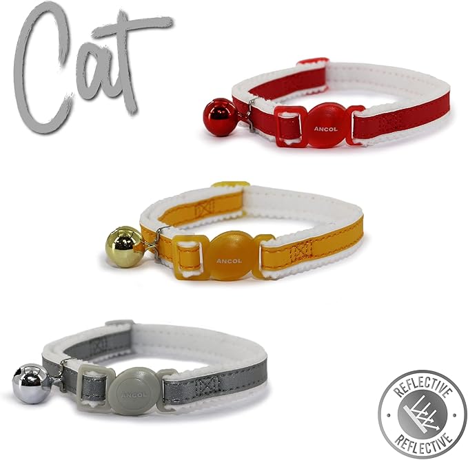 Ancol Reflective Safety Buckle Cat Collar in Silver - Comfortable Pet Accessory with Warning Bell - Kitten Training Walking Neckband
