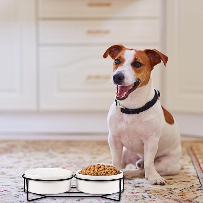 POPETPOP Ceramic Double Pet Bowl Set with Black Iron Elevated Stand, 13cm Raised Cat Feeder and Dog Food Bowl for Stable Feeding and Watering