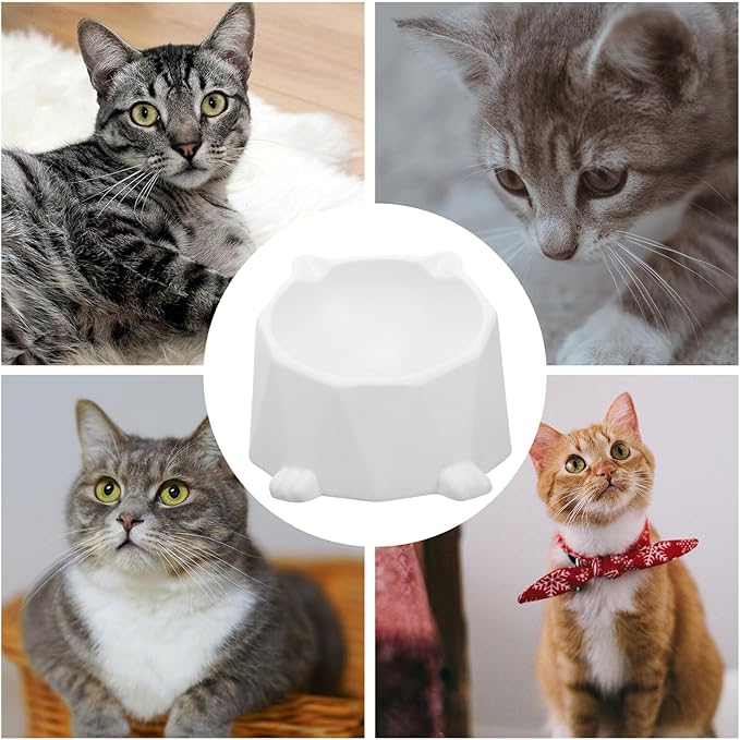 Beavorty Ceramic Elevated Cat Bowl with Neck Support Anti-Spill Raised Pet Food Dish for Indoor Cats White Single Piece and Small Dogs