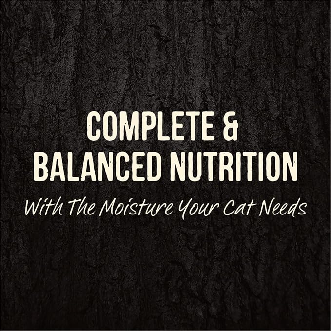 Merrick Backcountry Grain Free Premium And High Protein Wet Cat Food, Beef Recipe Cuts Morsels In Gravy - (Pack of 24) 3 oz. Pouches
