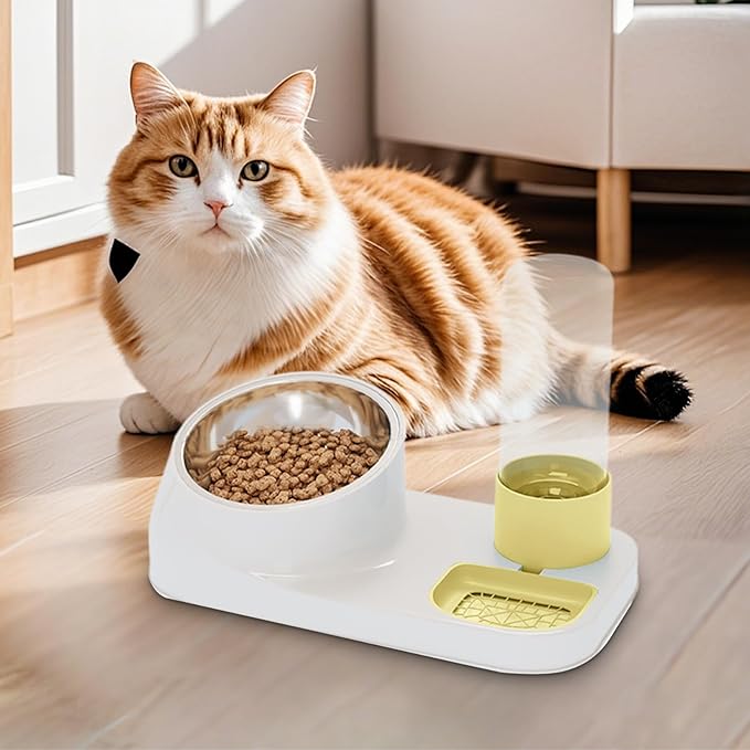 Automatic Cat Water Dispenser and Food Feeder with 16° Tilt Design for Neck Pressure Relief and Hygiene