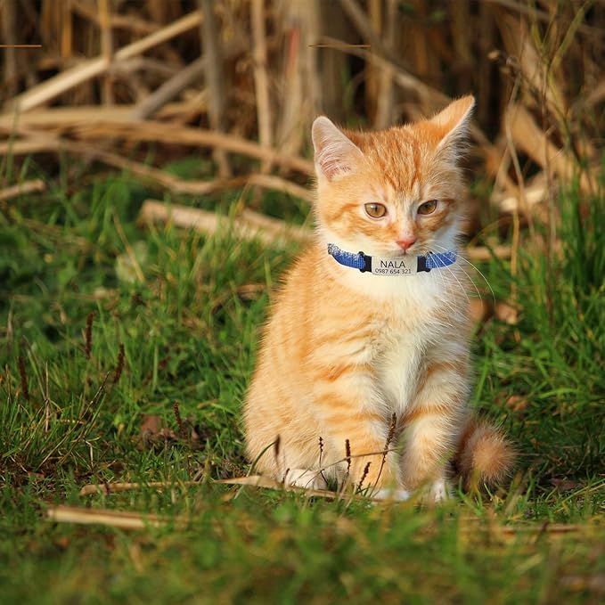 Cat Collar with Name tag, Adjustable and Durable Polyester Personalized cat Collar with Bell, Custom Carved pet Name and Phone Number, Suitable for Boys and Girls Cats,Light Pink