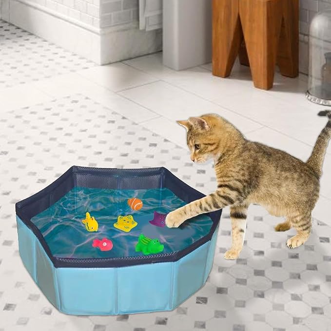 6Pcs Colorful Pool Cat Interactive, Cat Floating Water, Pet Kitten Swimming Bathing Fish, Sensory for Indoor Cats to Self Play