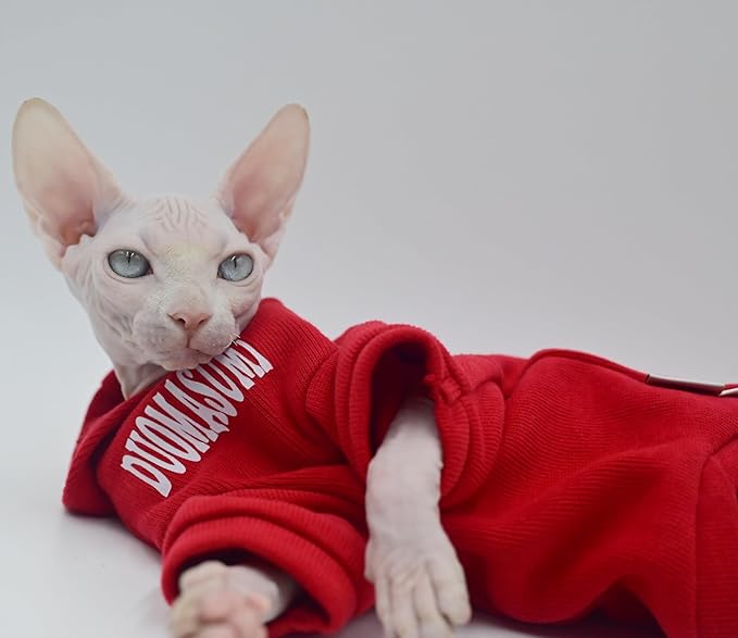 Sphynx Cat Apparel Kitty Clothes Autumn and Winter Hairless Cat Outfits Bald Cat Clothes for Devon Rex Cats, Cornish Cats (Large)