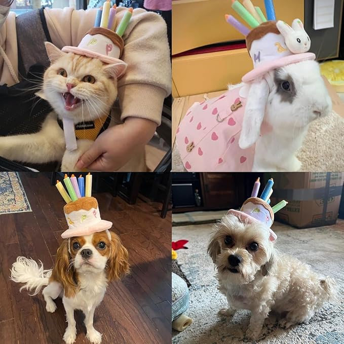 LESYPET Dog Cat Birthday Hat, Cute Birthday Cake Hat with 4 Color Candles for Cats Small Dogs, Pet Birthday Supplies Party Apparel Accessory, Size S