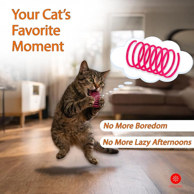 Cat Spring Toys for Indoor Cats, Springy & Durable PET Plastic Spiral Coil Cat Toy, Interactive Self Play for Boredom Relief, 12 Pack
