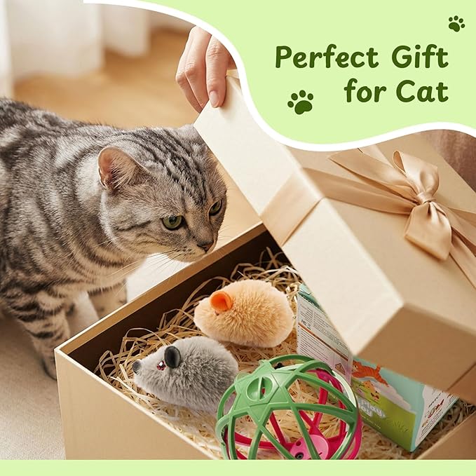 Cat Toys for Indoor Cats - Interactive Ball Cage Cat Toy with Realistic Mice Sounds & 2 Catnip Plush Toys, Motion-Activated Hunting Simulation Toy for Cats