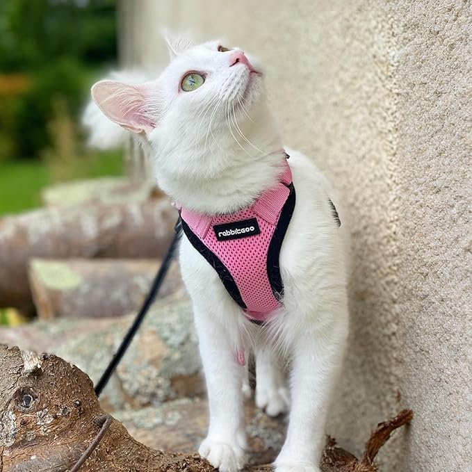 rabbitgoo Cat Harness and Leash for Walking, Escape Proof Soft Adjustable Vest Harnesses for Cats, Easy Control Breathable Reflective Strips Jacket, Pink, M