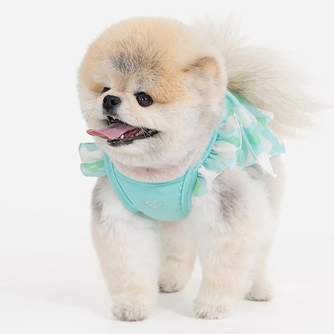 Pinkaholic New York Suri Dog One-Piece Dress Trendy Fashionable Cute Elegant Dog Apparel for Small Dogs, Mint, Large