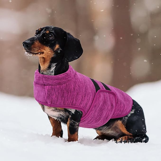 Queenmore XXL Dog Sweaters, Soft Fleece Vest Pullover Dog Jacket with Leash Hole, Warm Winter Pet Clothes Cold Weather Doggy Dachshund Sweater for Large Dogs Cats Boy or Girl (Cationic Berry, XXL)