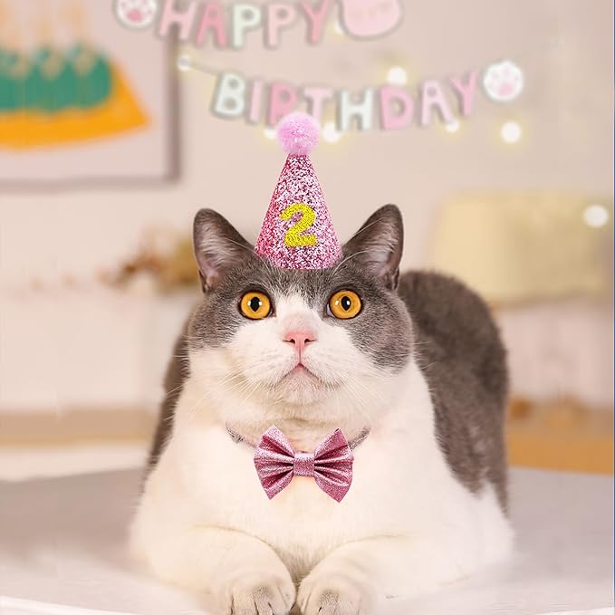 Cat Birthday Hat Girl Happy Birthday Decorations Outfit Banner Party Supplies Bow tie Collar Catnip Chew Biting Kick Toys for Cat Girl (Pink)