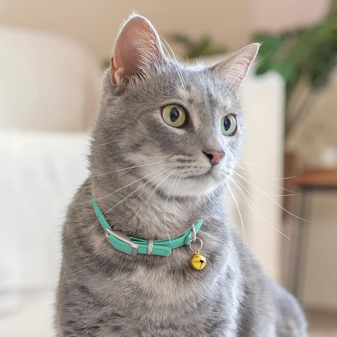 CollarDirect Leather Cat Collar with Removable Bell – Safety Elastic Strap (Breakaway Alternative) – Kitten Collar for Small & Big Boy & Girl Cats