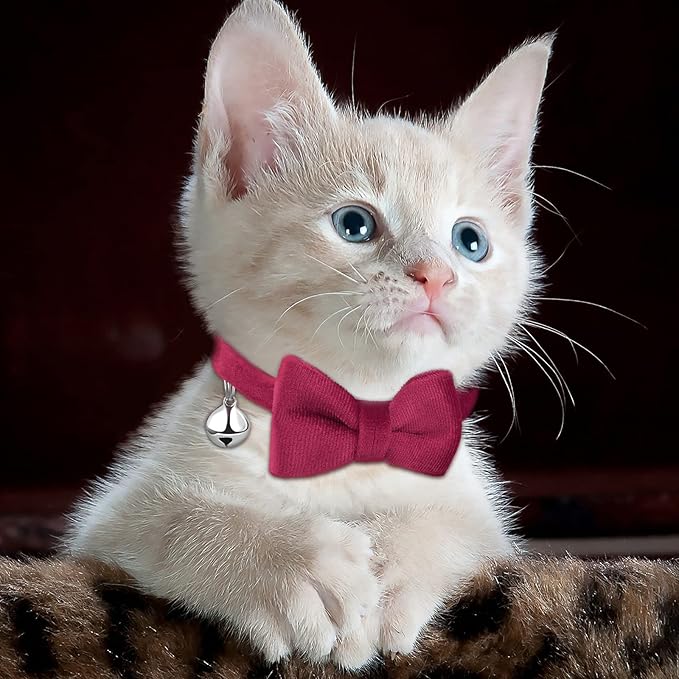 4 Pieces Cat Bow Tie Collar with Bell Breakaway Cat Comfortable Velvet with Cute Safety Pet Collar for Pet Kitten Puppy(Small,Yellow, Green, Rose Red, Blue)