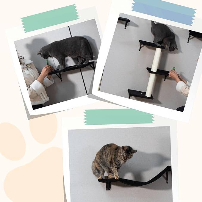 COZIWOW Cat Wall Shelves Set, 5-Piece Wall Mounted Cat Furniture with Cat Tree & Scratching Post, Floating Cat Perches for Indoor Cats(Black)