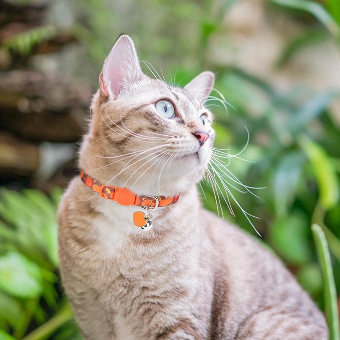 3 Pack Fall Breakaway Cat Collars with Bell & Charm-Thanksgiving Cat Collar for Girl Boy Cats with Safety Buckle- Cute Pumpkin Kitten Collar Adjustable 8"-12" for Kitty Puppy Small Pets